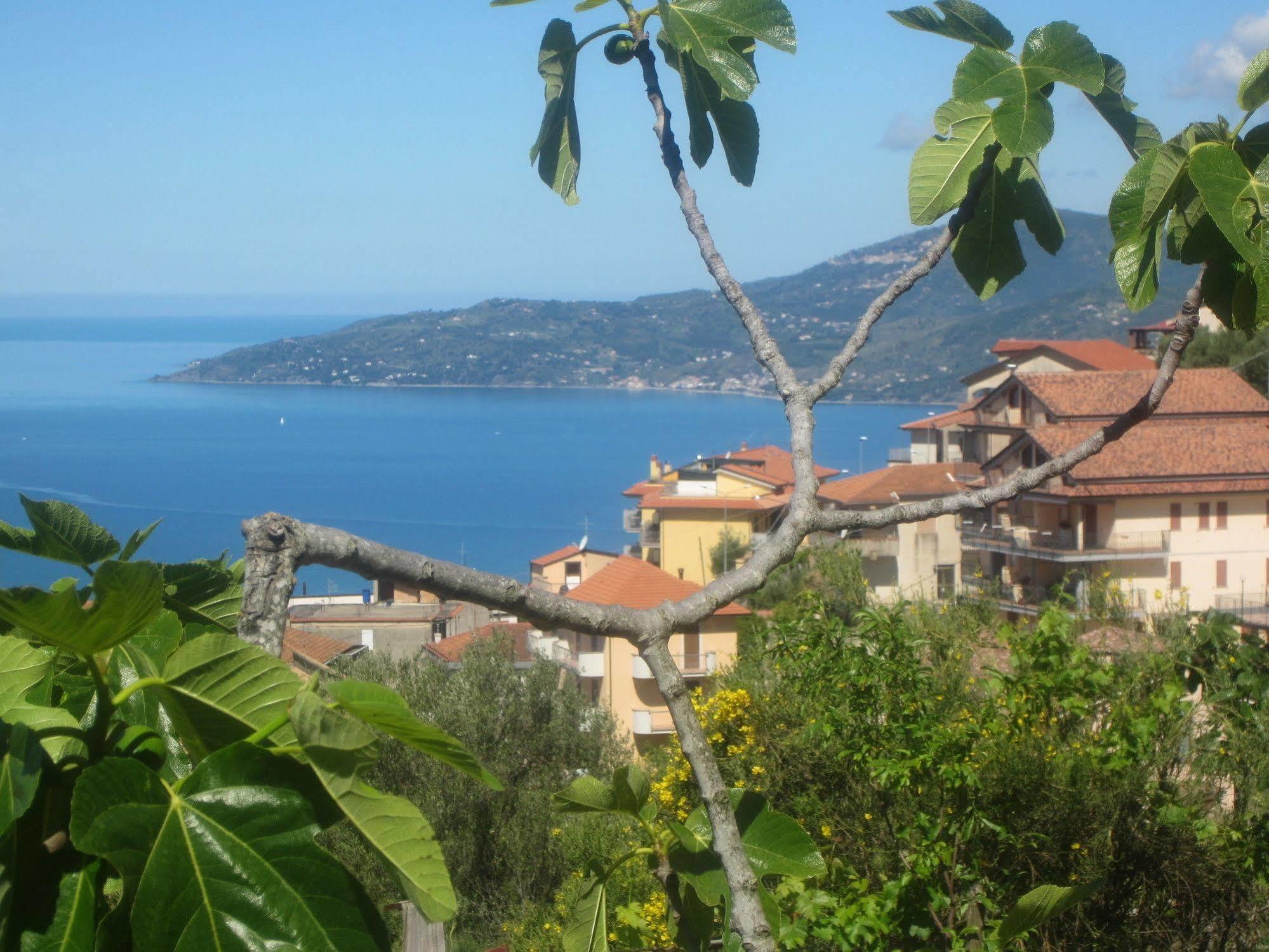 Santa Sofia Ascea
